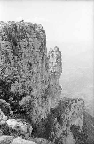 image_thumbnail