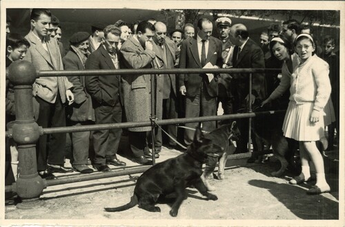 image_thumbnail