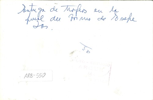 image_thumbnail
