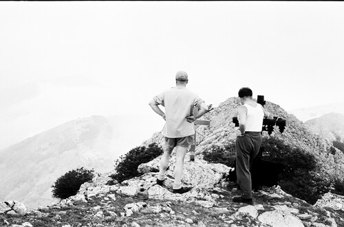 image_thumbnail