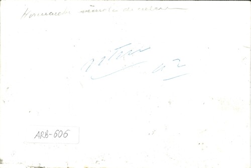 image_thumbnail