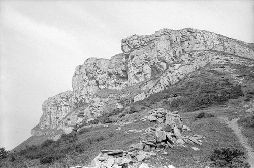 image_thumbnail