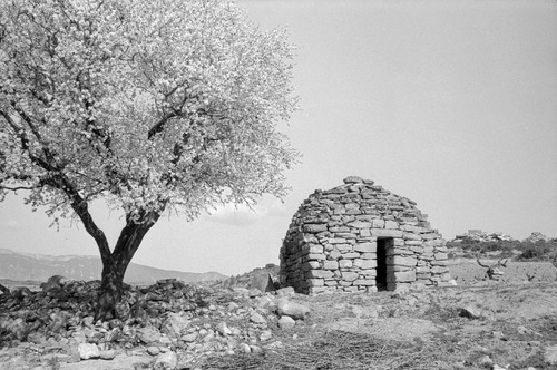 image_thumbnail