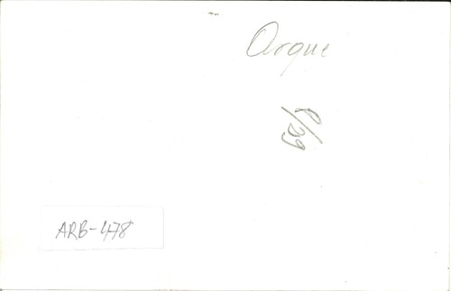 image_thumbnail