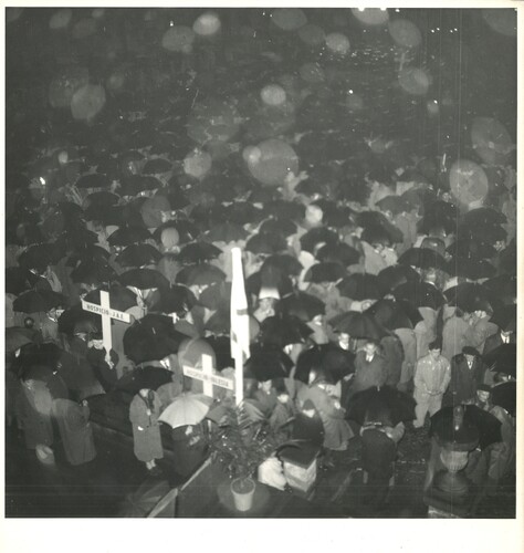 image_thumbnail