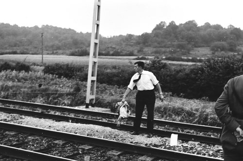 image_thumbnail