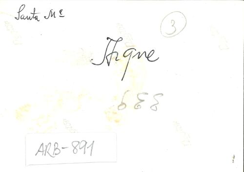 image_thumbnail
