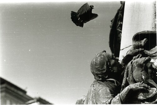 image_thumbnail