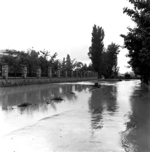 image_thumbnail