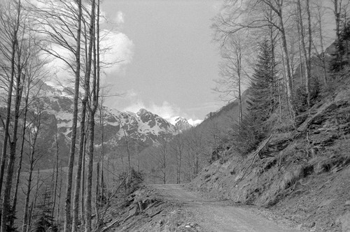 image_thumbnail
