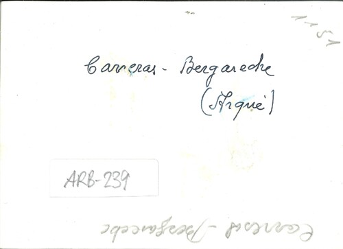 image_thumbnail