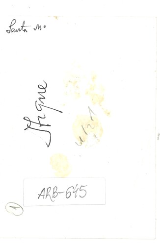image_thumbnail