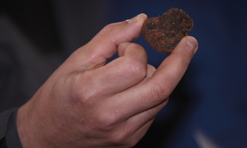 image_thumbnail