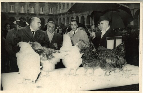 image_thumbnail